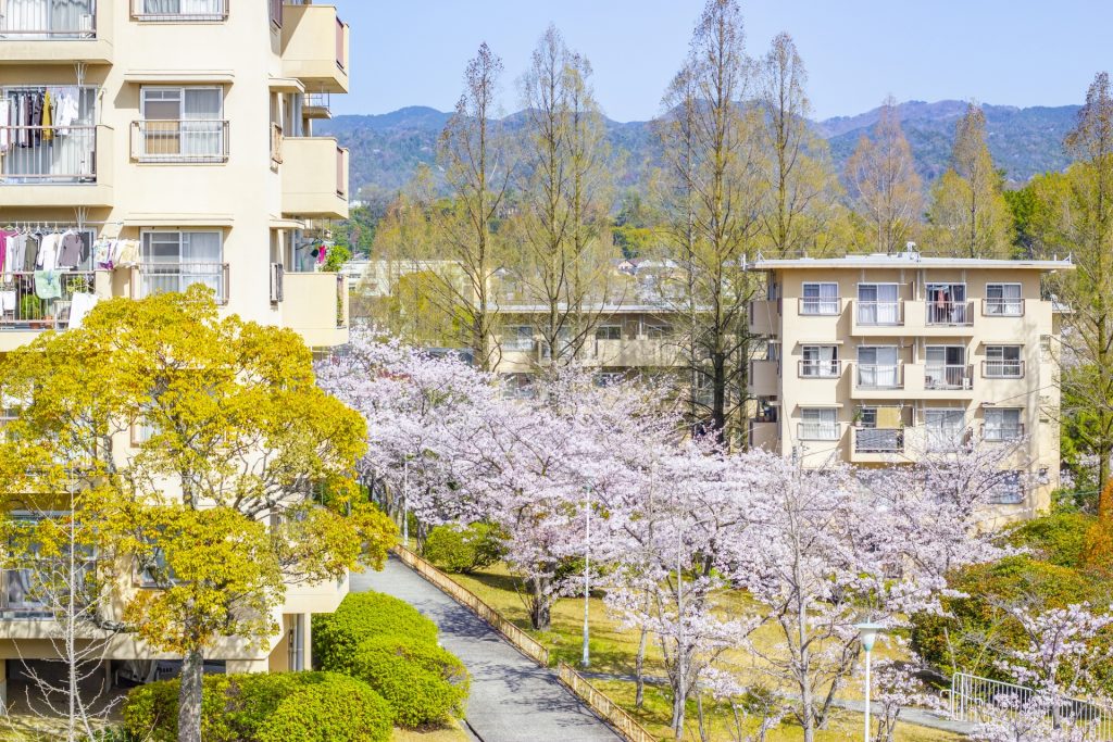 山間の公営住宅と桜