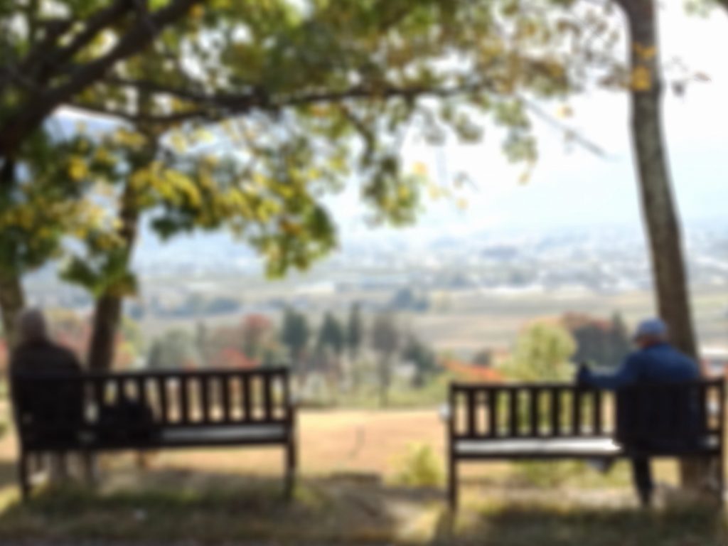 公園のベンチに離れて座る老夫婦